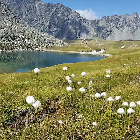 Berger Appartement Sankt Veit in Defereggen